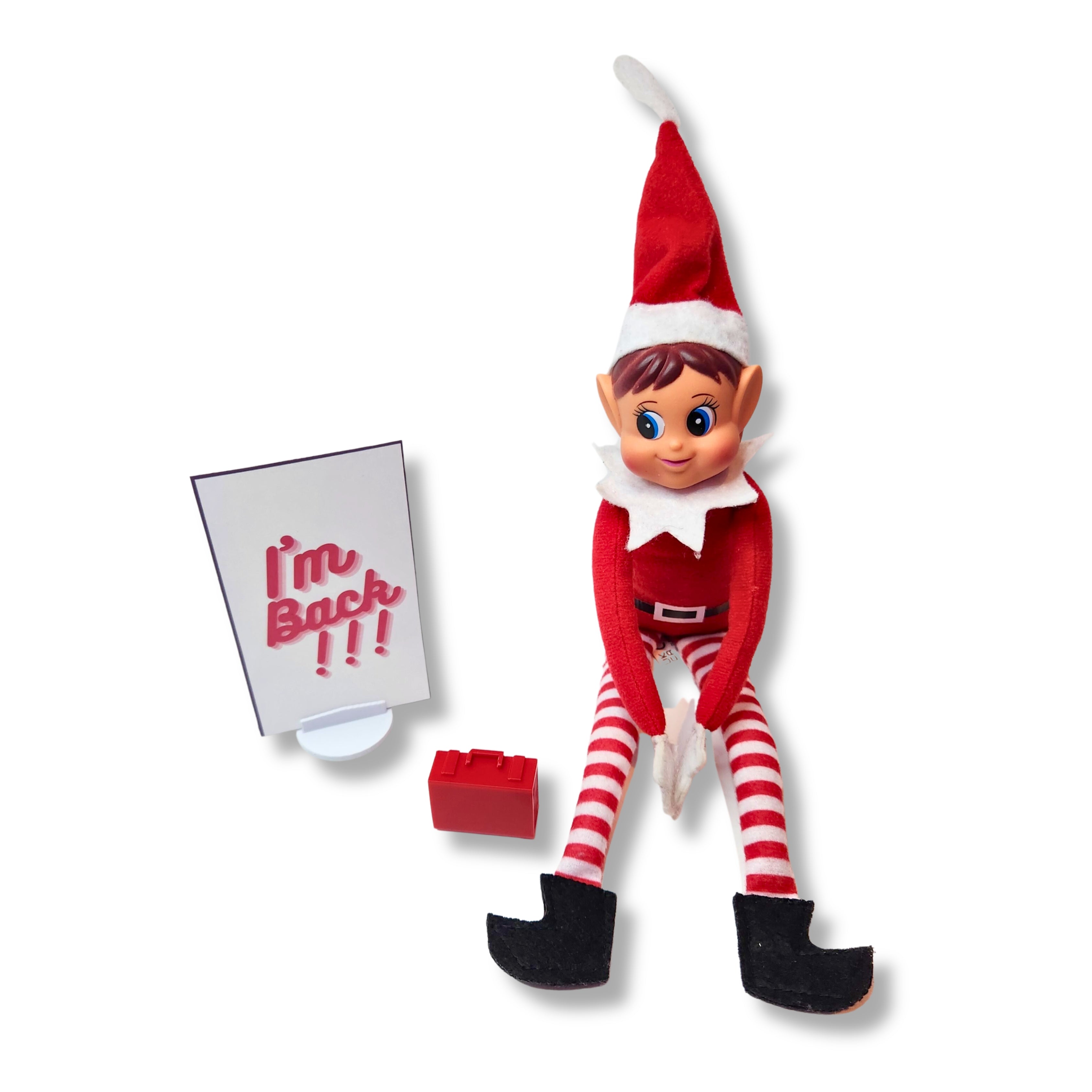 Elf Mischief Pack - 24 day elf kit