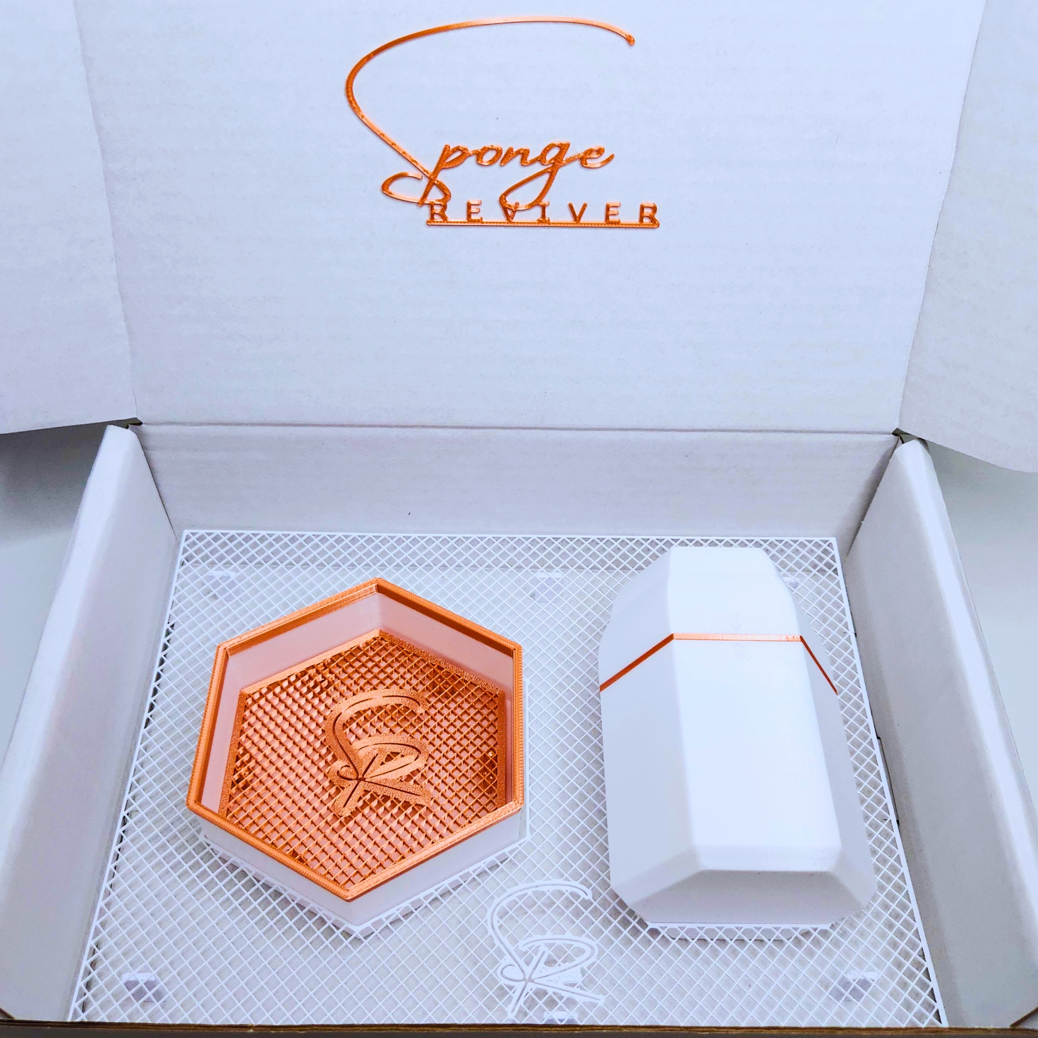 The Sponge Reviver